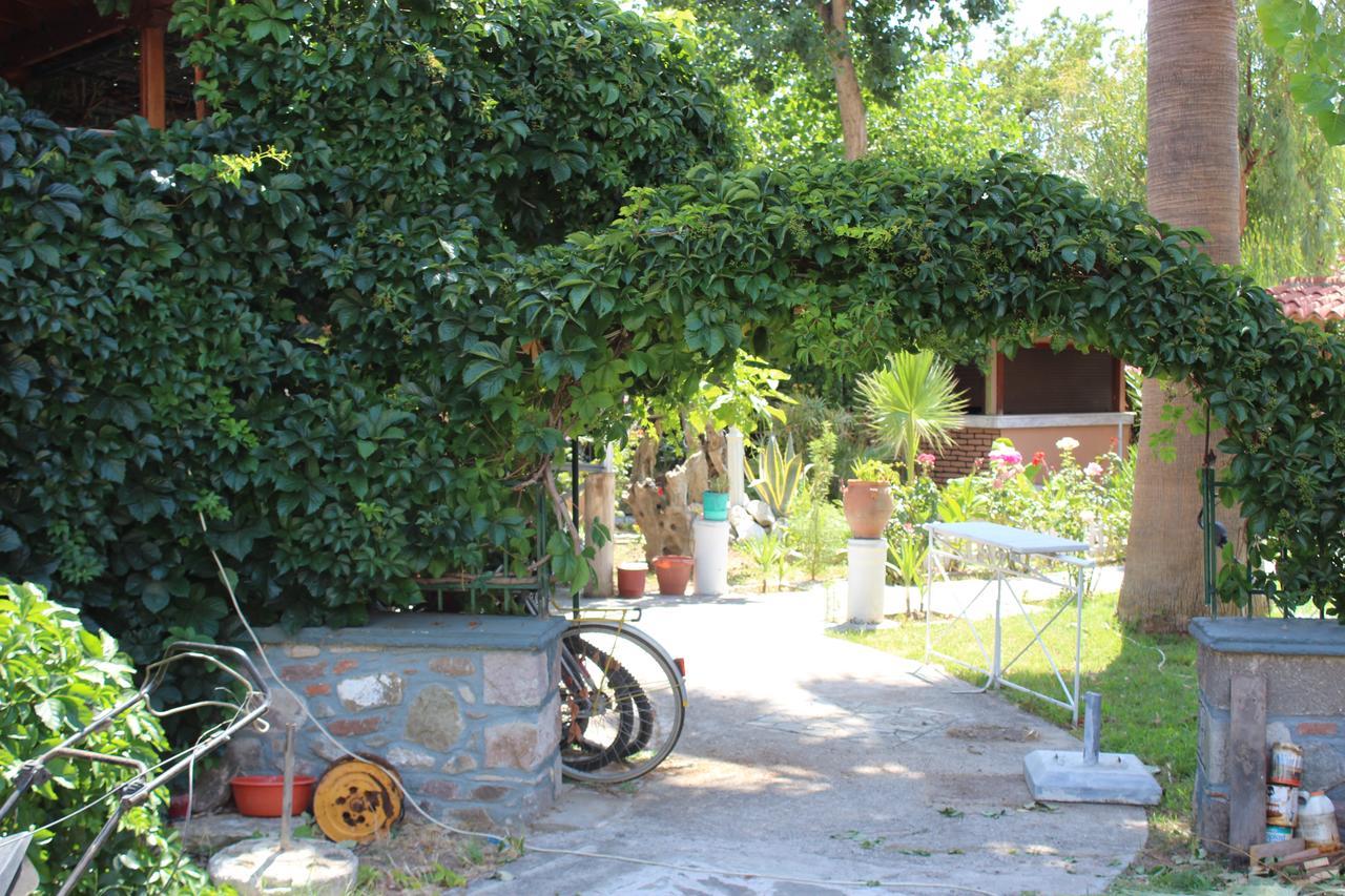 Studio Aspa Apartment Skala Eresou Bagian luar foto